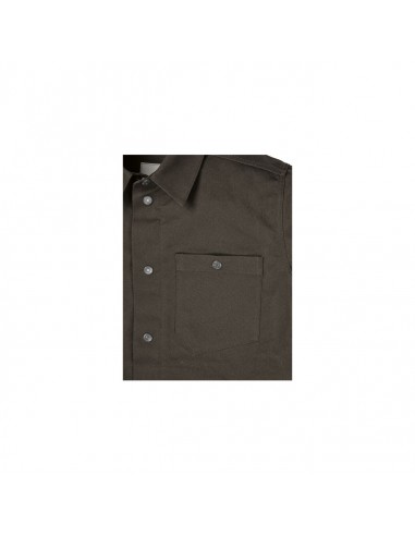 Chaqueta Mitte Caballero Caqui